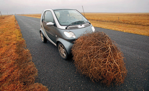 ad-ideas-featuring-a-smart-fortwo-and-a-tumbleweed-column-car-and-driver-photo-693914-s-original.jpg